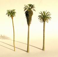 Lot De 6 Palmiers Miniatures Pour Décoration De Forêt Tropicale